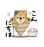 動く柴犬 2025 「初夏」（個別スタンプ：2）