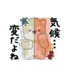 動く柴犬 2025 「初夏」（個別スタンプ：8）