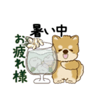 動く柴犬 2025 「初夏」（個別スタンプ：15）
