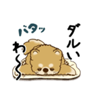 動く柴犬 2025 「初夏」（個別スタンプ：16）