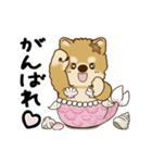 動く柴犬 2025 「初夏」（個別スタンプ：17）