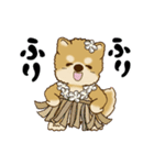 動く柴犬 2025 「初夏」（個別スタンプ：18）