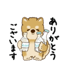 動く柴犬 2025 「初夏」（個別スタンプ：22）