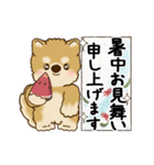 動く柴犬 2025 「初夏」（個別スタンプ：24）