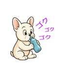 かわいい！ フレンチブルドッグ いぬ（個別スタンプ：20）