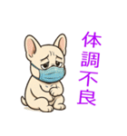かわいい！ フレンチブルドッグ いぬ（個別スタンプ：24）