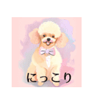 ラブリー トイプーちゃん Vo.1（個別スタンプ：18）