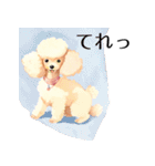ラブリー トイプーちゃん Vo.1（個別スタンプ：20）