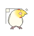 オカメインコず（もふ増）（個別スタンプ：3）