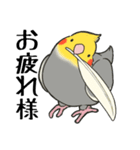オカメインコず（もふ増）（個別スタンプ：5）