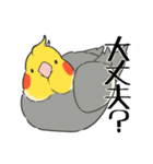 オカメインコず（もふ増）（個別スタンプ：7）