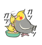 オカメインコず（もふ増）（個別スタンプ：8）