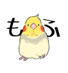 オカメインコず（もふ増）（個別スタンプ：9）
