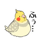 オカメインコず（もふ増）（個別スタンプ：10）