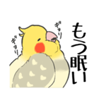 オカメインコず（もふ増）（個別スタンプ：12）