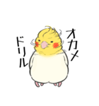 オカメインコず（もふ増）（個別スタンプ：14）