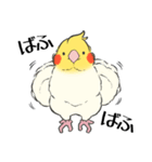 オカメインコず（もふ増）（個別スタンプ：15）