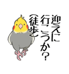 オカメインコず（もふ増）（個別スタンプ：17）