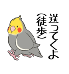 オカメインコず（もふ増）（個別スタンプ：18）