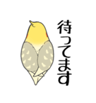 オカメインコず（もふ増）（個別スタンプ：22）