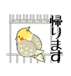 オカメインコず（もふ増）（個別スタンプ：23）