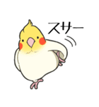 オカメインコず（もふ増）（個別スタンプ：25）