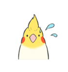 オカメインコず（もふ増）（個別スタンプ：27）