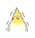 オカメインコず（もふ増）（個別スタンプ：28）