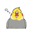 オカメインコず（もふ増）（個別スタンプ：29）