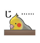 オカメインコず（もふ増）（個別スタンプ：30）