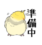 オカメインコず（もふ増）（個別スタンプ：34）