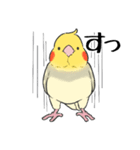 オカメインコず（もふ増）（個別スタンプ：36）