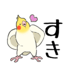 オカメインコず（もふ増）（個別スタンプ：37）