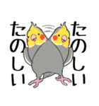 オカメインコず（もふ増）（個別スタンプ：38）