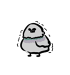 ドバト。（個別スタンプ：2）