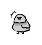 ドバト。（個別スタンプ：3）