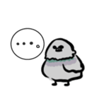 ドバト。（個別スタンプ：4）