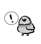ドバト。（個別スタンプ：5）