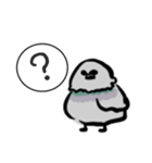 ドバト。（個別スタンプ：6）