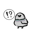 ドバト。（個別スタンプ：7）