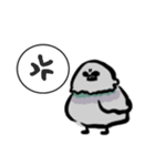 ドバト。（個別スタンプ：8）