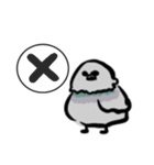 ドバト。（個別スタンプ：10）