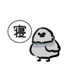 ドバト。（個別スタンプ：11）