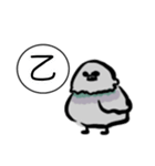 ドバト。（個別スタンプ：12）