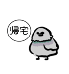ドバト。（個別スタンプ：13）