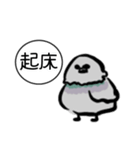 ドバト。（個別スタンプ：17）