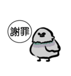 ドバト。（個別スタンプ：19）