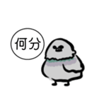 ドバト。（個別スタンプ：22）