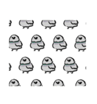 ドバト。（個別スタンプ：37）