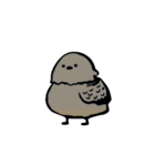ドバト。（個別スタンプ：39）